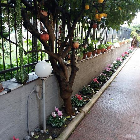 Green Garden Помпей Екстериор снимка