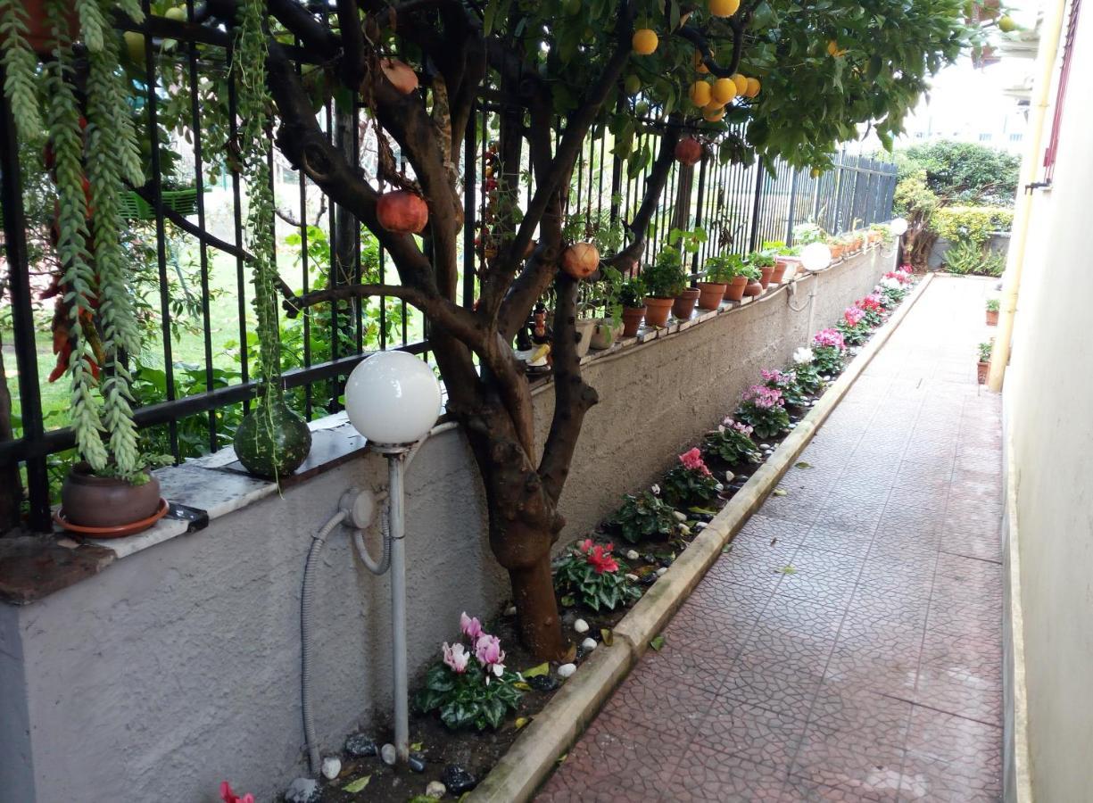 Green Garden Помпей Екстериор снимка