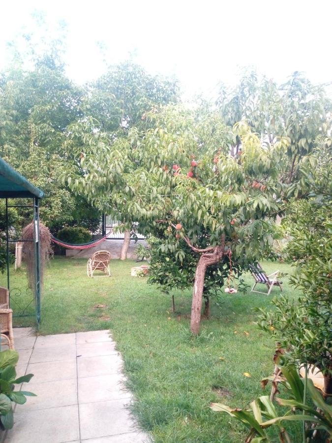Green Garden Помпей Екстериор снимка